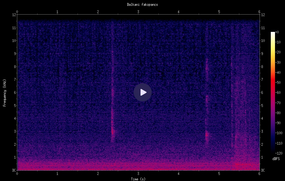 Faj azonosítás képernyője